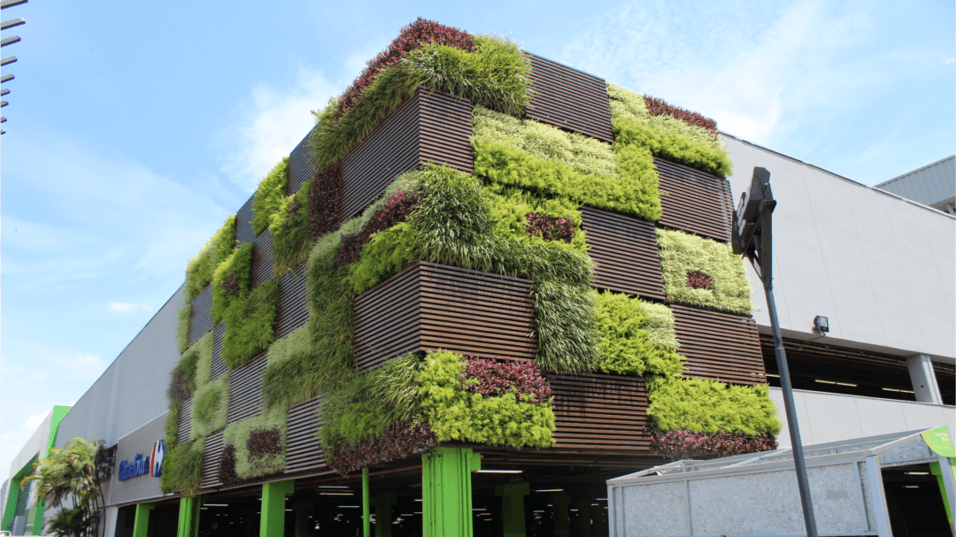 Carrefour – São Paulo/SP