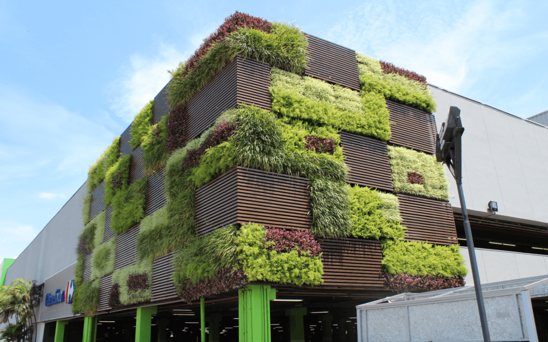Carrefour – São Paulo/SP