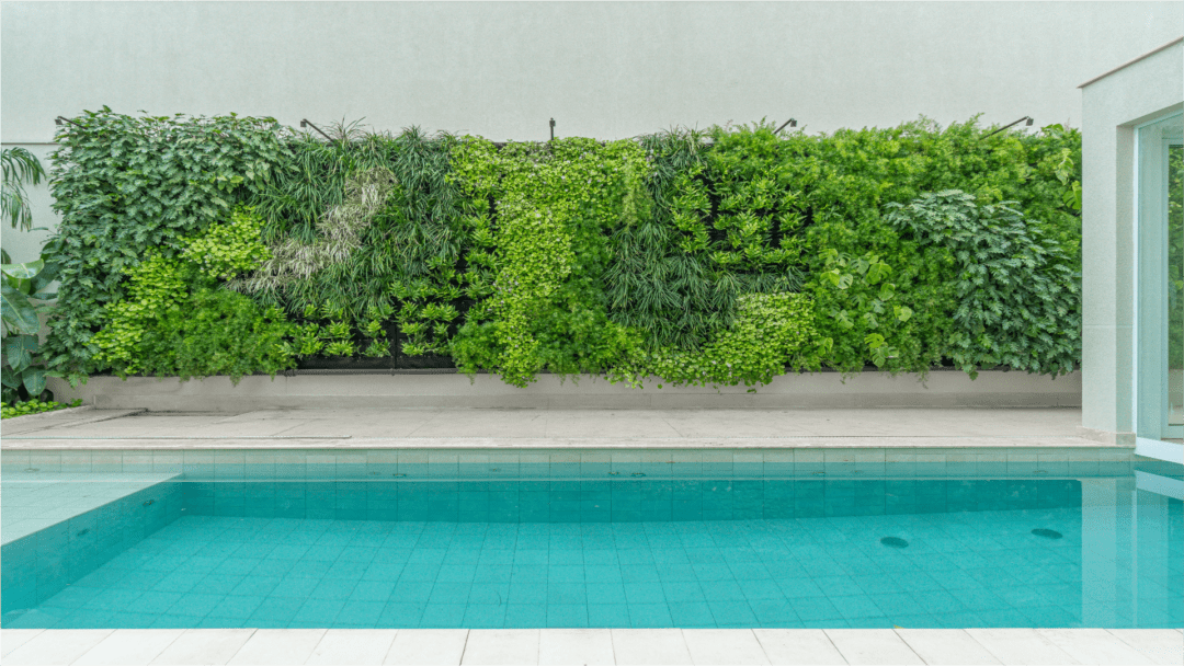 Casa Dahma – Piracicaba/SP